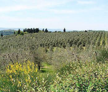 Country house Torre Di Ponzano